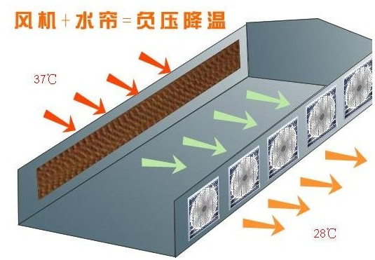 負壓通風降溫設備廣東 負壓風機+降溫濕簾系統(tǒng)